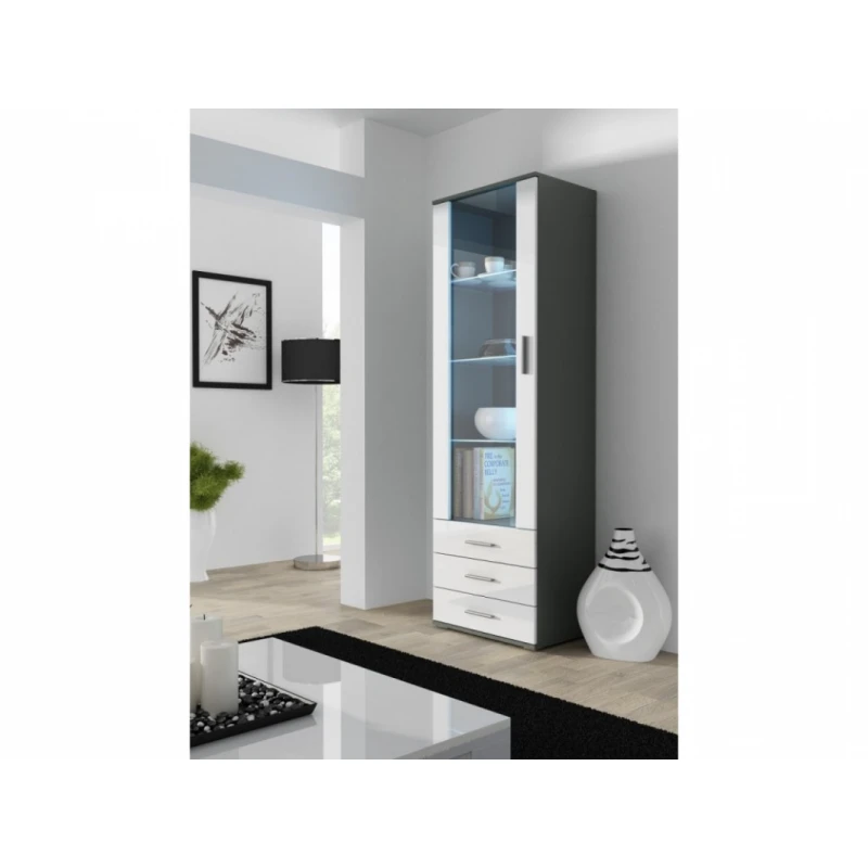 ArtCam Stojaca vitrína SOHO S1 Farba: Sivá/biely lesk